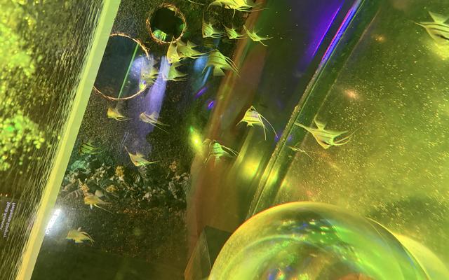 리뷰 대표 이미지