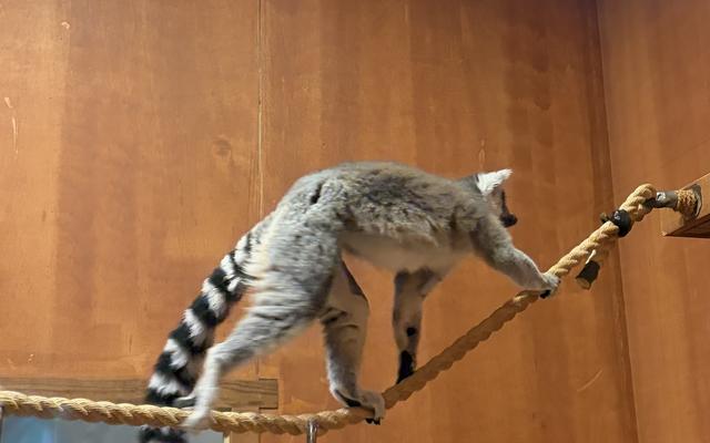 리뷰 대표 이미지