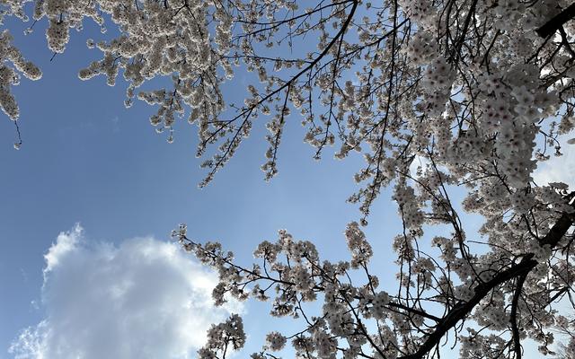 리뷰 대표 이미지