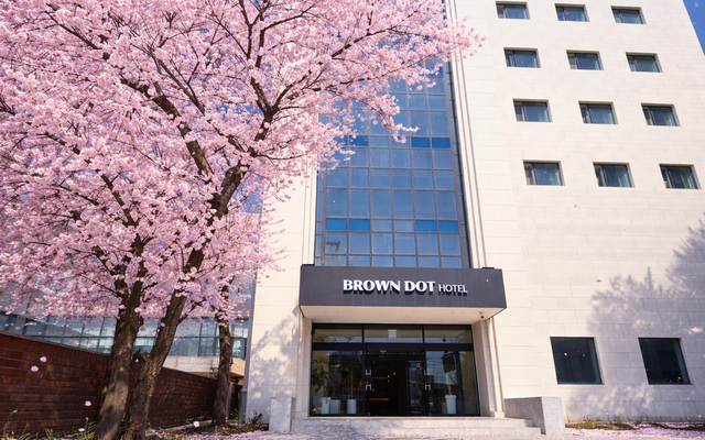 홍성 브라운도트 홍성내포점