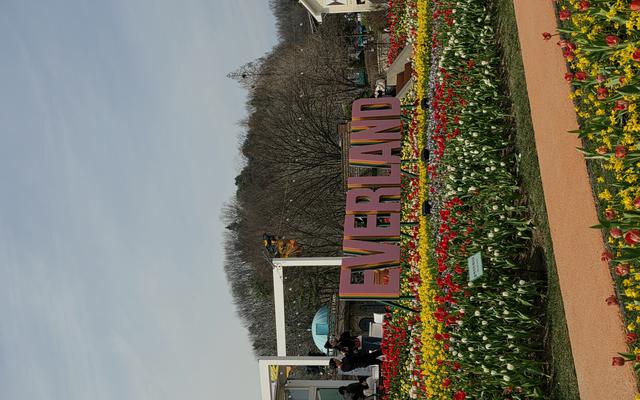 리뷰 대표 이미지