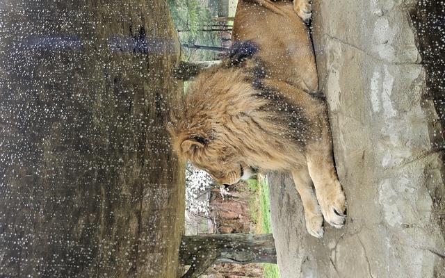 리뷰 대표 이미지