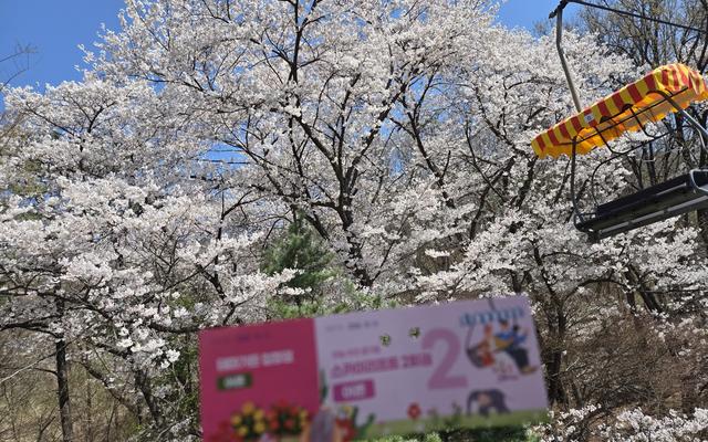 리뷰 대표 이미지