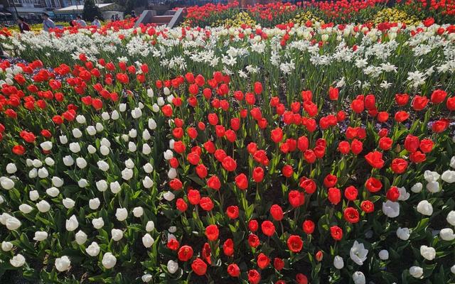 리뷰 대표 이미지