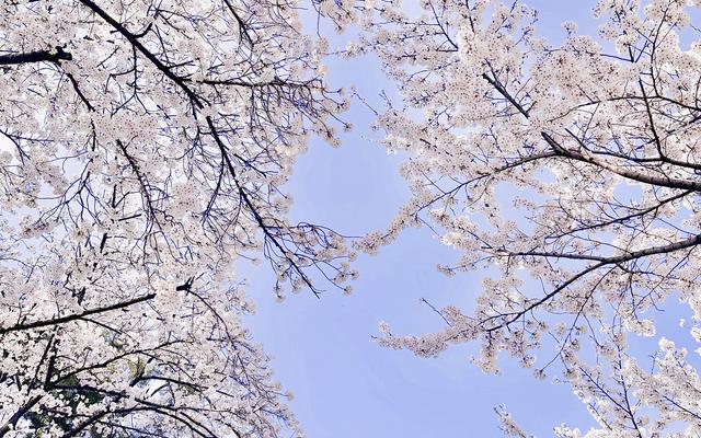 리뷰 대표 이미지