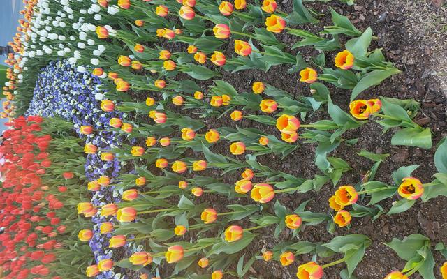 리뷰 대표 이미지