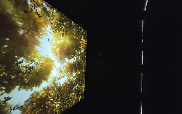 리뷰 대표 이미지