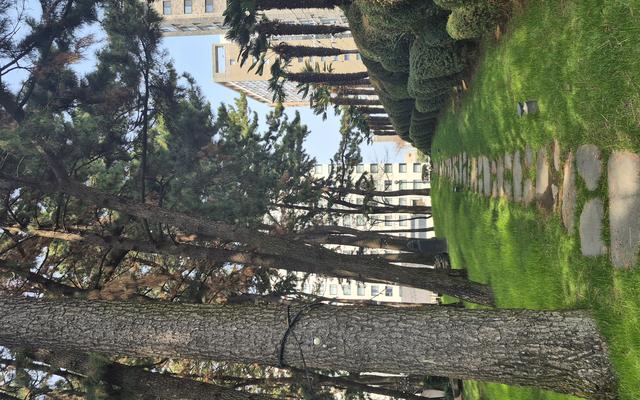 리뷰 대표 이미지