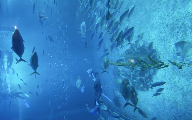 리뷰 대표 이미지