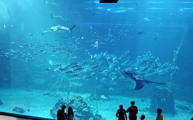 리뷰 대표 이미지