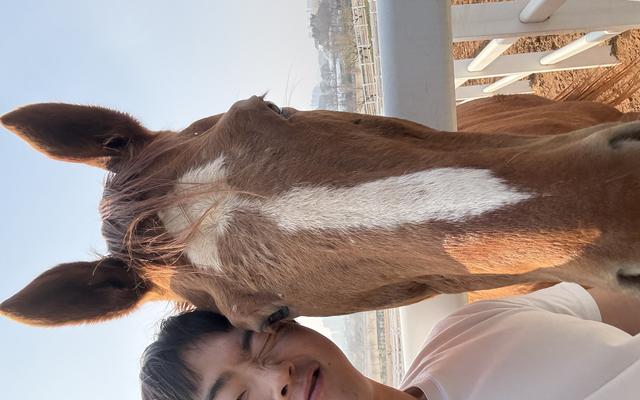 리뷰 대표 이미지