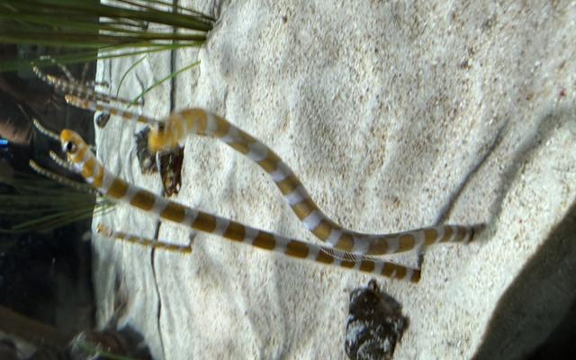 리뷰 대표 이미지