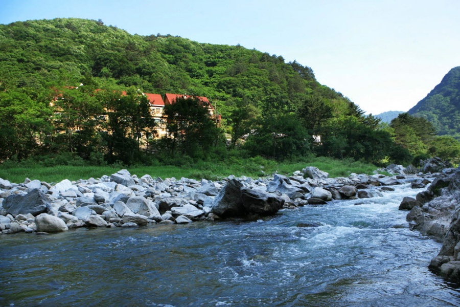 https://yaimg.yanolja.com/v5/2026/04/10/08/69d8b83c0ee600.32922013.jpg