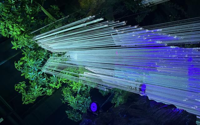 리뷰 대표 이미지