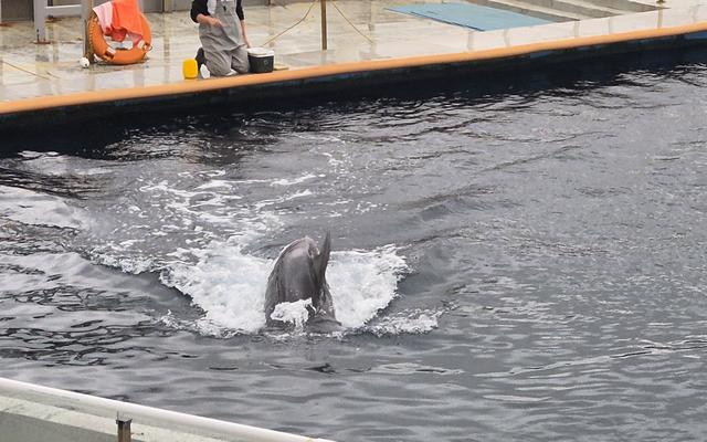 리뷰 대표 이미지