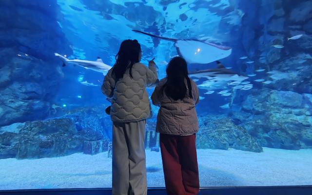 리뷰 대표 이미지