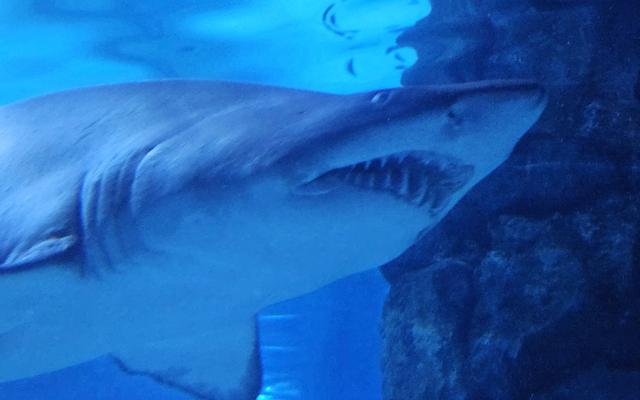 리뷰 대표 이미지