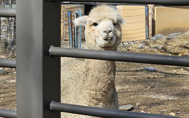 리뷰 대표 이미지