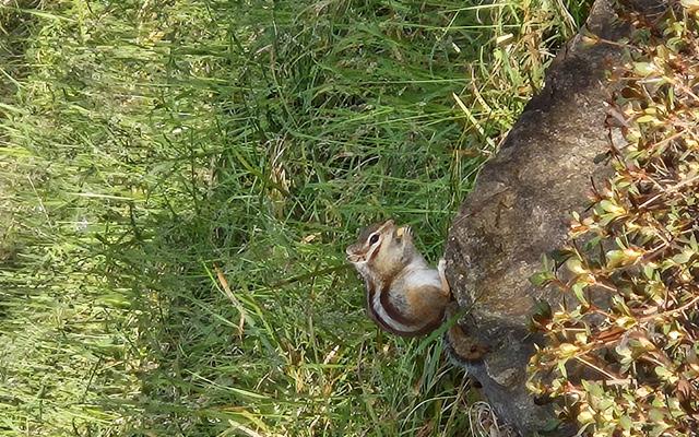 리뷰 대표 이미지