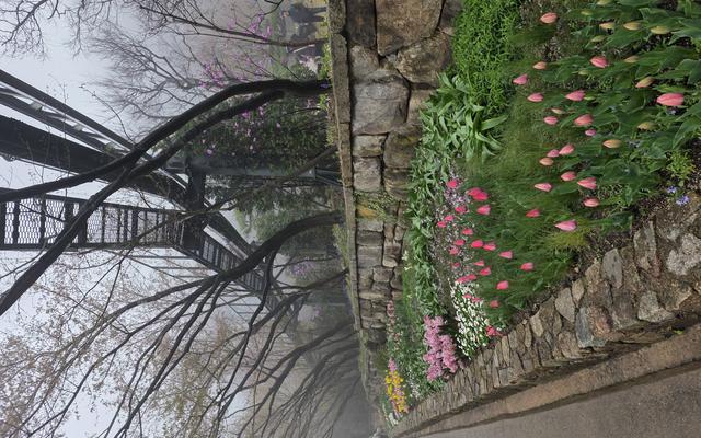 리뷰 대표 이미지