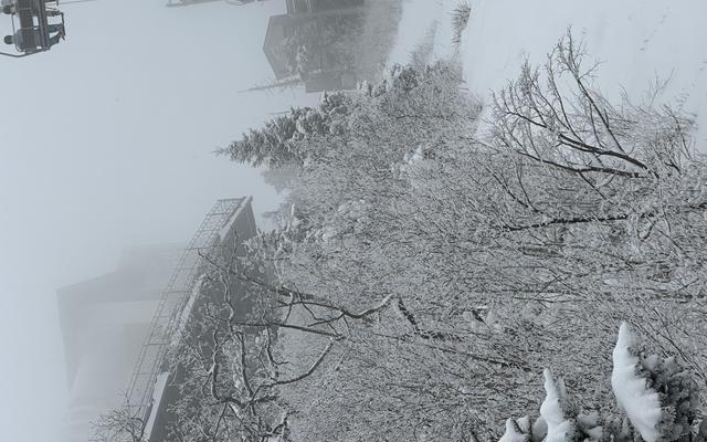 리뷰 대표 이미지