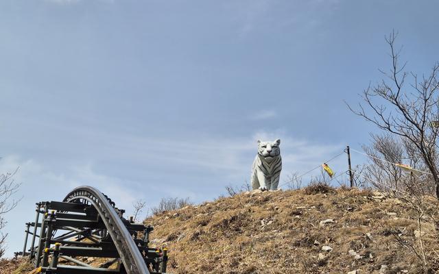 리뷰 대표 이미지