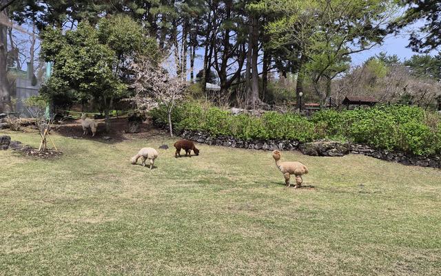 리뷰 대표 이미지