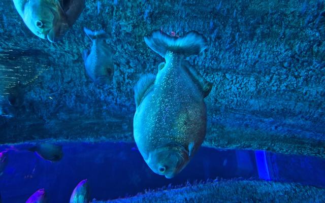 리뷰 대표 이미지