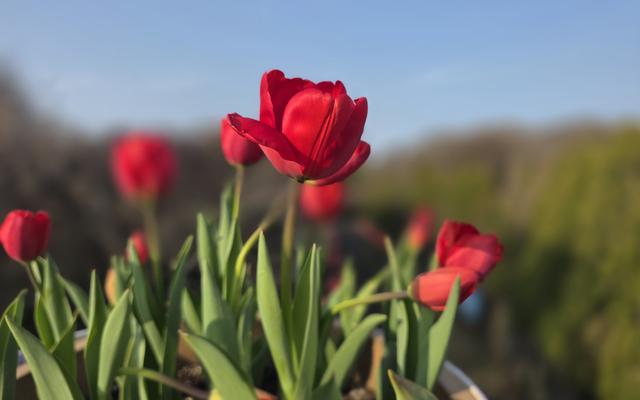 리뷰 대표 이미지