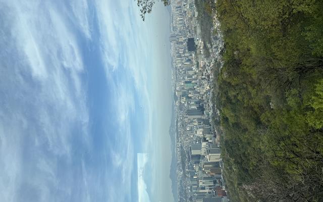 리뷰 대표 이미지