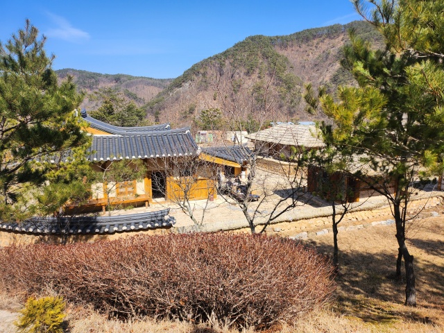 청송 한옥호텔 안(安) 전망
