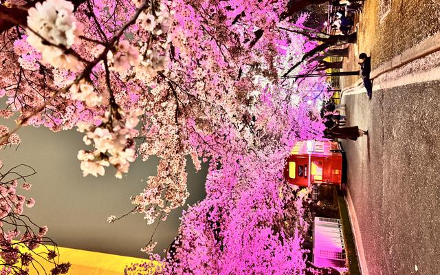 리뷰 대표 이미지