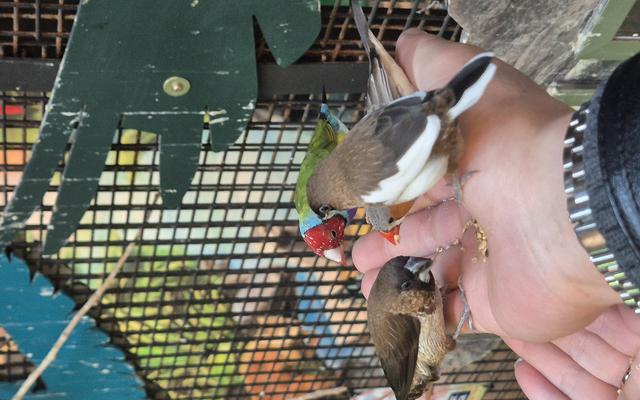 리뷰 대표 이미지