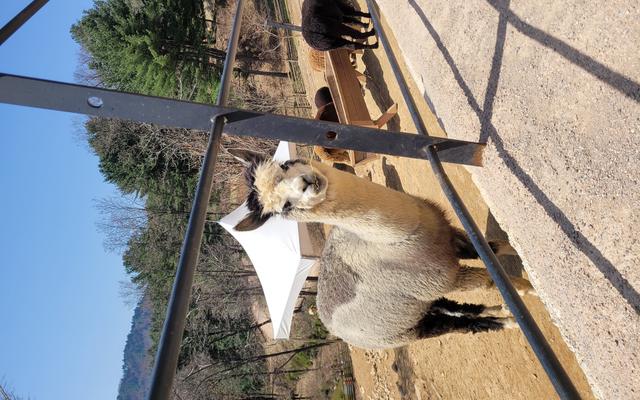 리뷰 대표 이미지