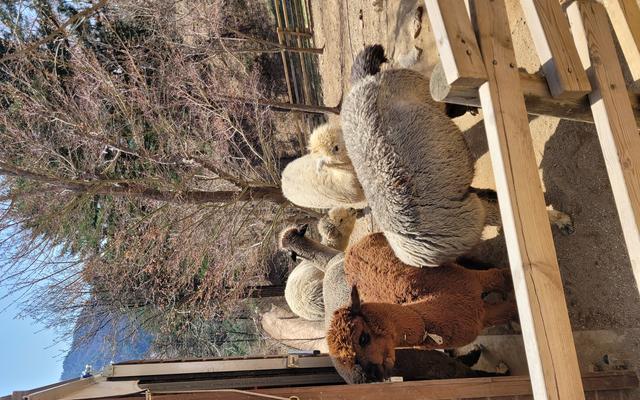 리뷰 대표 이미지