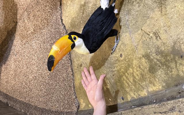 리뷰 대표 이미지