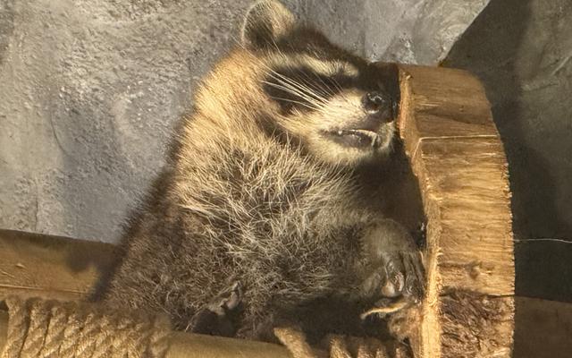 리뷰 대표 이미지