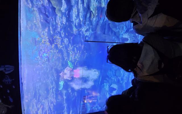 리뷰 대표 이미지