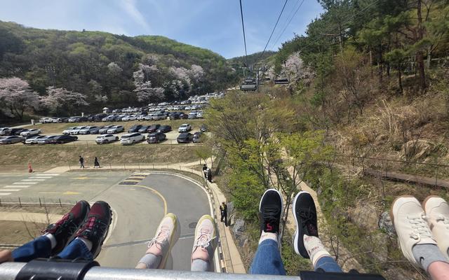 리뷰 대표 이미지