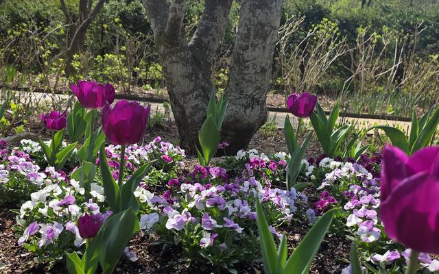 리뷰 대표 이미지