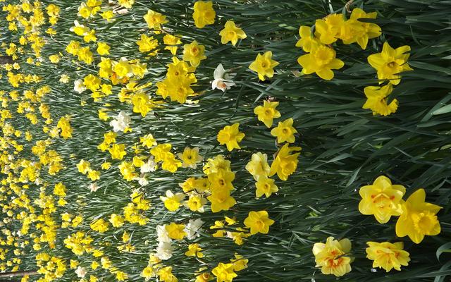 리뷰 대표 이미지