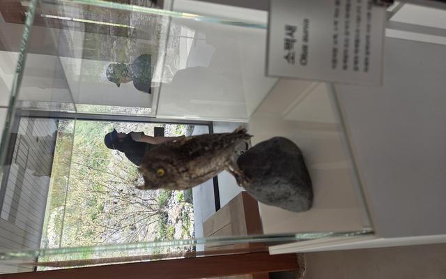 리뷰 대표 이미지