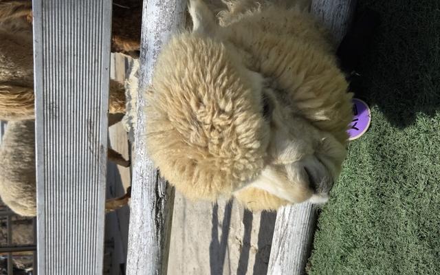 리뷰 대표 이미지