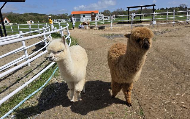 리뷰 대표 이미지