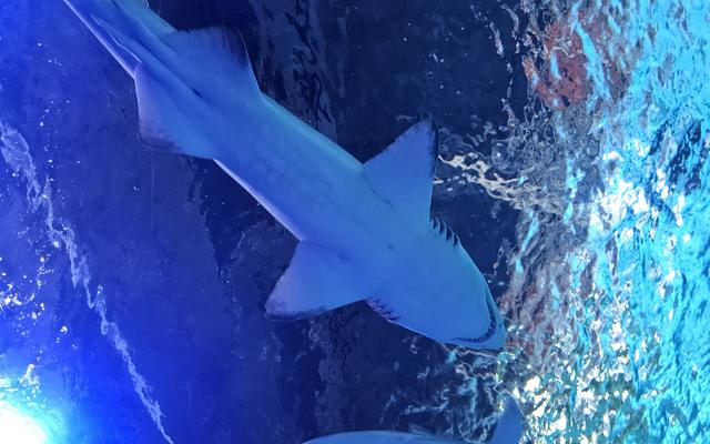 리뷰 대표 이미지