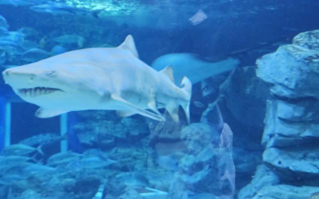 리뷰 대표 이미지