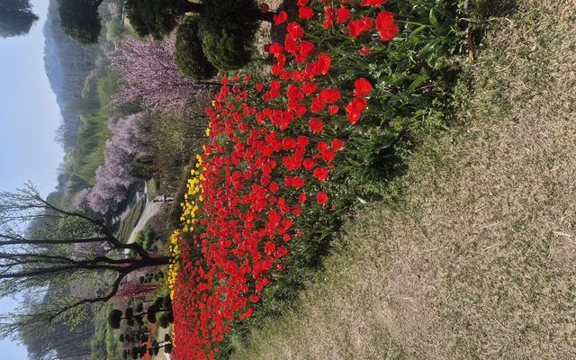 리뷰 대표 이미지