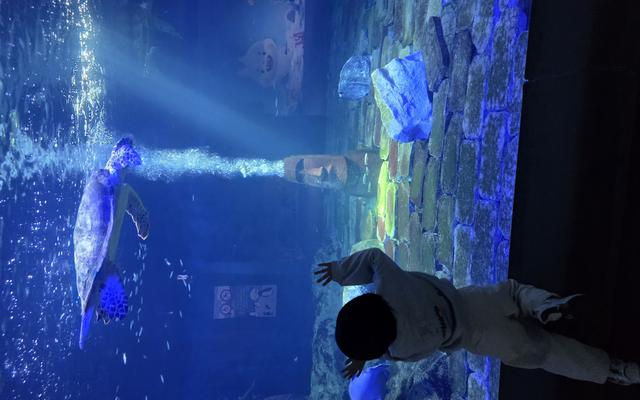 리뷰 대표 이미지