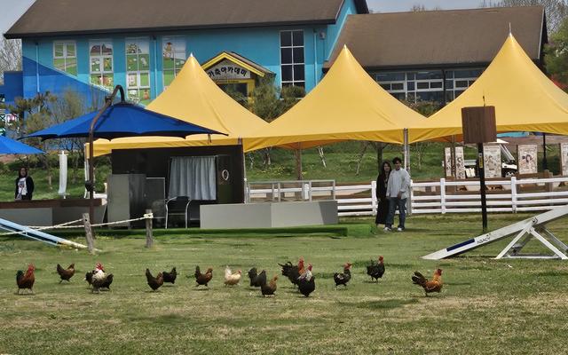 리뷰 대표 이미지