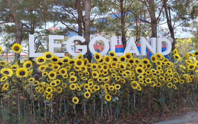 리뷰 대표 이미지